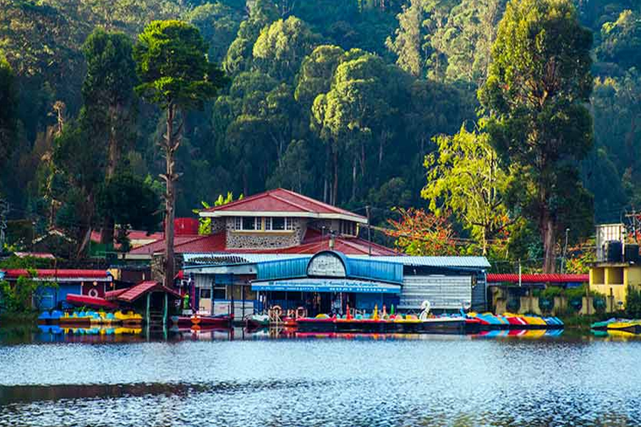 Luxury Glamping in Kodaikanal